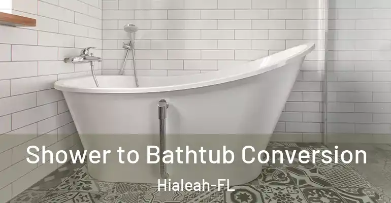 inner Bathroom imggen Shower to Bathtub Conversion Hialeah-FL