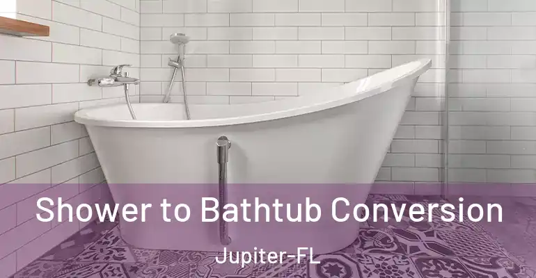 inner Bathroom imggen Shower to Bathtub Conversion Jupiter-FL