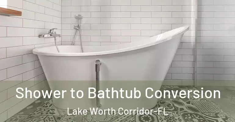 inner Bathroom imggen Shower to Bathtub Conversion Lake Worth Corridor-FL