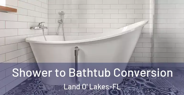 inner Bathroom imggen Shower to Bathtub Conversion Land O' Lakes-FL