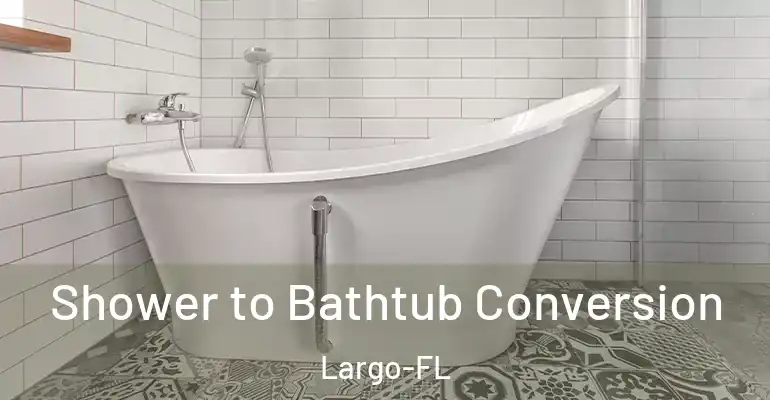 inner Bathroom imggen Shower to Bathtub Conversion Largo-FL