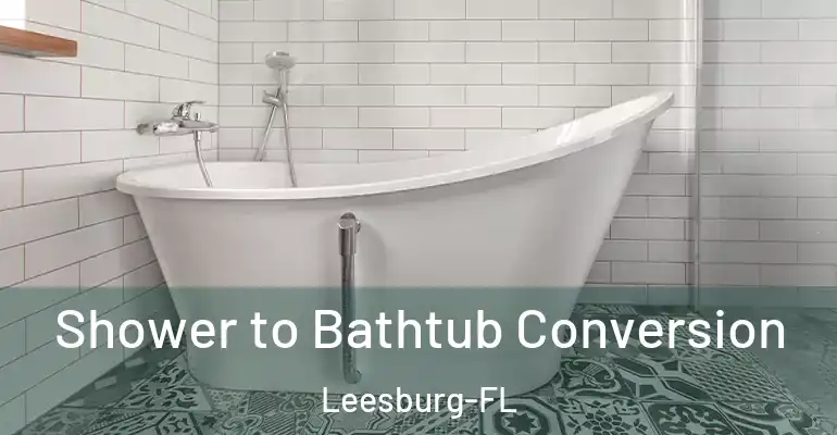 inner Bathroom imggen Shower to Bathtub Conversion Leesburg-FL