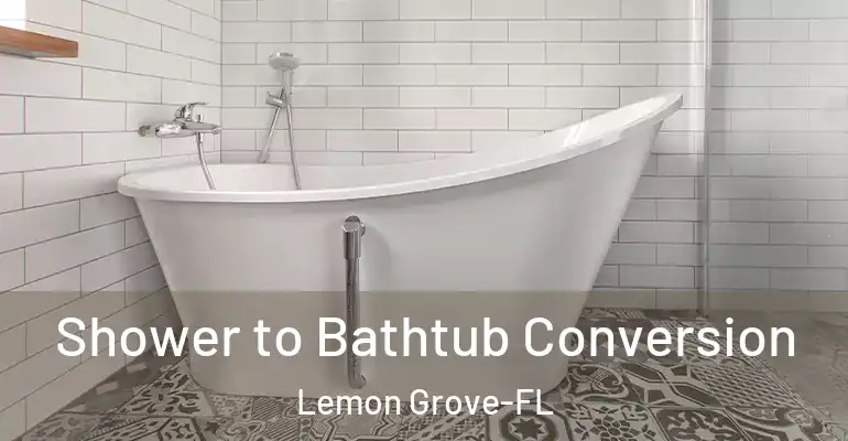 inner Bathroom imggen Shower to Bathtub Conversion Lemon Grove-FL