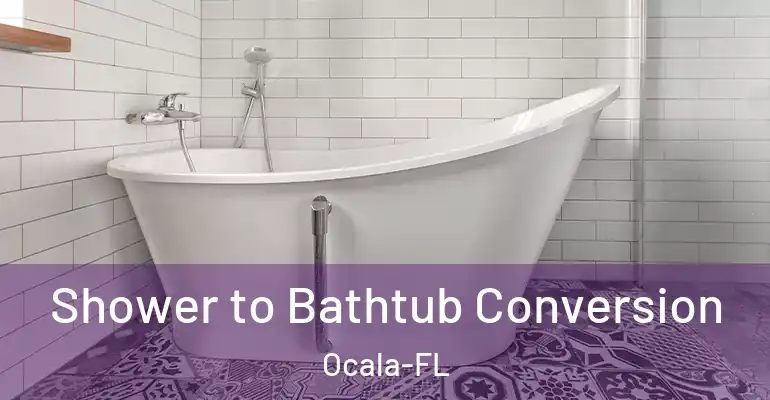inner Bathroom imggen Shower to Bathtub Conversion Ocala-FL