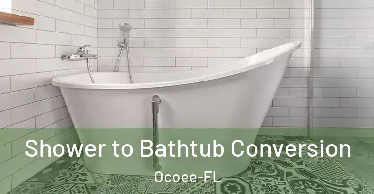 inner Bathroom imggen Shower to Bathtub Conversion Ocoee-FL