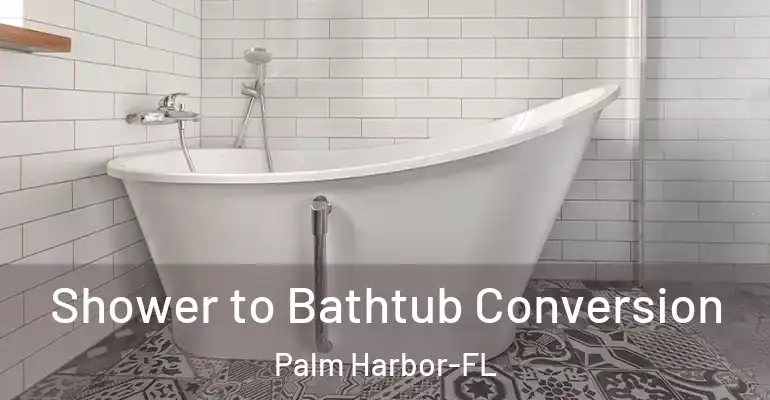 inner Bathroom imggen Shower to Bathtub Conversion Palm Harbor-FL