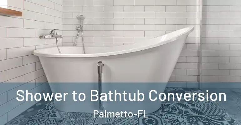 inner Bathroom imggen Shower to Bathtub Conversion Palmetto-FL
