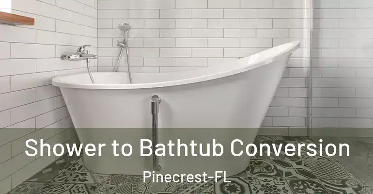 inner Bathroom imggen Shower to Bathtub Conversion Pinecrest-FL
