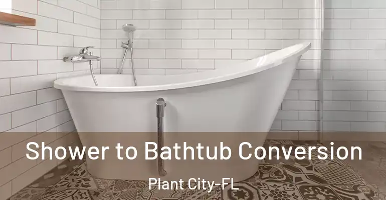 inner Bathroom imggen Shower to Bathtub Conversion Plant City-FL
