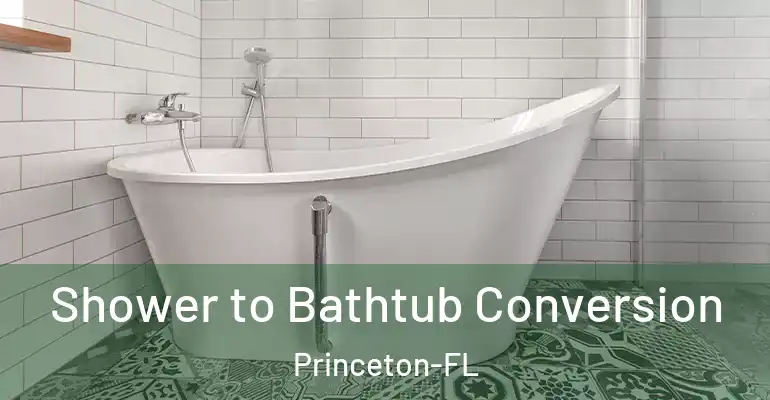 inner Bathroom imggen Shower to Bathtub Conversion Princeton-FL