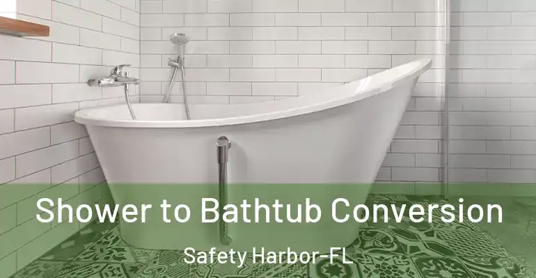 inner Bathroom imggen Shower to Bathtub Conversion Safety Harbor-FL