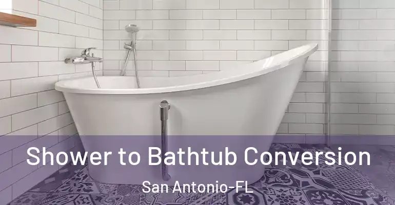 inner Bathroom imggen Shower to Bathtub Conversion San Antonio-FL