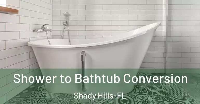 inner Bathroom imggen Shower to Bathtub Conversion Shady Hills-FL