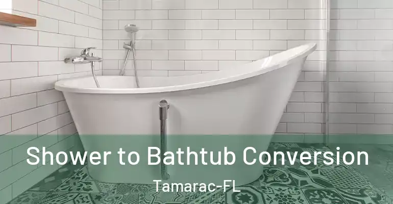 inner Bathroom imggen Shower to Bathtub Conversion Tamarac-FL