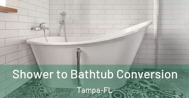 inner Bathroom imggen Shower to Bathtub Conversion Tampa-FL