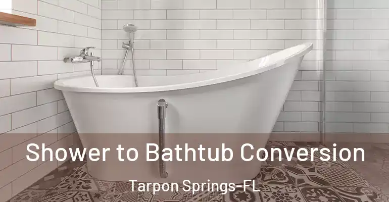 inner Bathroom imggen Shower to Bathtub Conversion Tarpon Springs-FL
