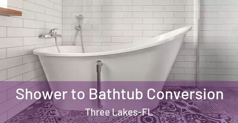 inner Bathroom imggen Shower to Bathtub Conversion Three Lakes-FL