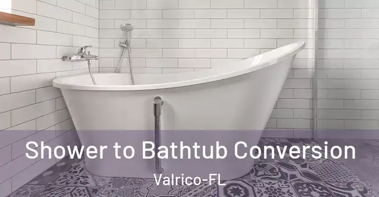 inner Bathroom imggen Shower to Bathtub Conversion Valrico-FL