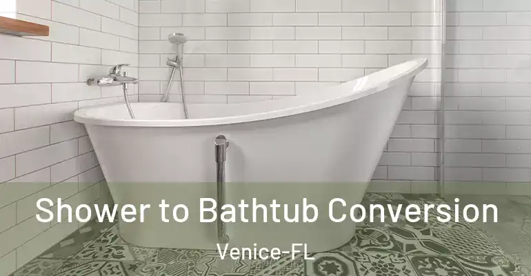 inner Bathroom imggen Shower to Bathtub Conversion Venice-FL