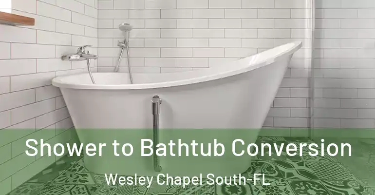 inner Bathroom imggen Shower to Bathtub Conversion Wesley Chapel South-FL