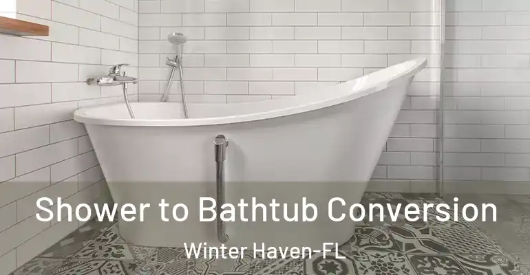 inner Bathroom imggen Shower to Bathtub Conversion Winter Haven-FL