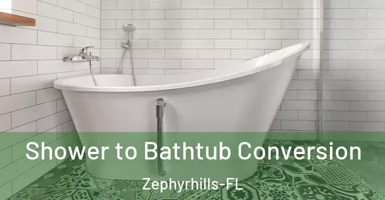 inner Bathroom imggen Shower to Bathtub Conversion Zephyrhills-FL