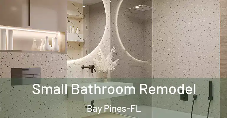 inner Bathroom imggen Small Bathroom Remodel Bay Pines-FL