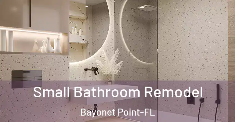 inner Bathroom imggen Small Bathroom Remodel Bayonet Point-FL