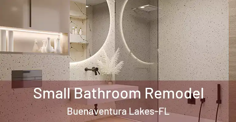 inner Bathroom imggen Small Bathroom Remodel Buenaventura Lakes-FL