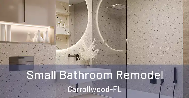 inner Bathroom imggen Small Bathroom Remodel Carrollwood-FL