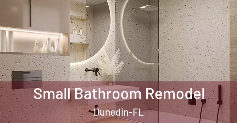 inner Bathroom imggen Small Bathroom Remodel Dunedin-FL