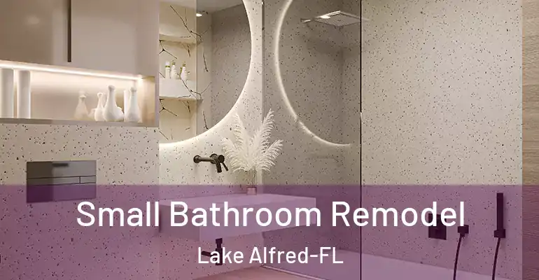 inner Bathroom imggen Small Bathroom Remodel Lake Alfred-FL