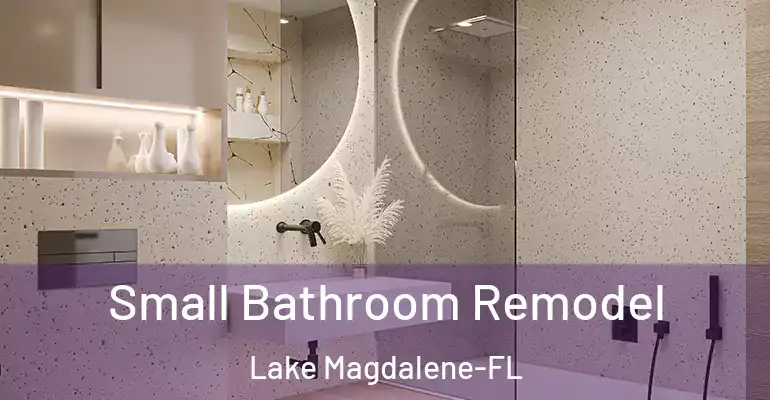 inner Bathroom imggen Small Bathroom Remodel Lake Magdalene-FL