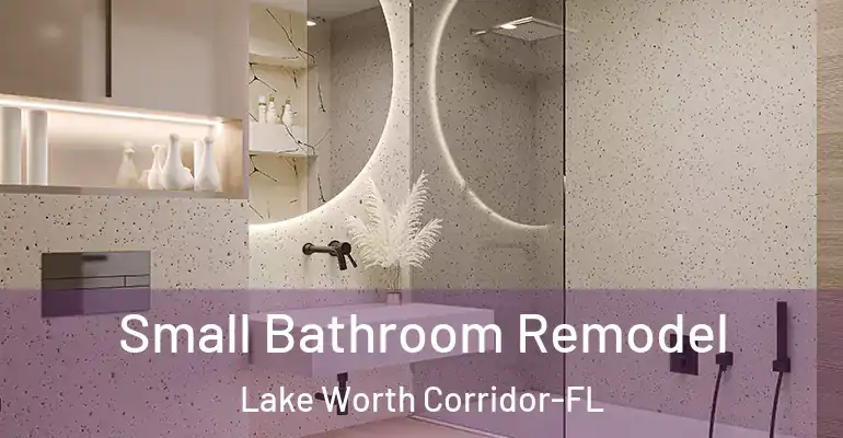 inner Bathroom imggen Small Bathroom Remodel Lake Worth Corridor-FL