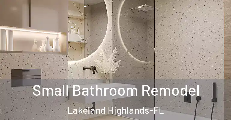 inner Bathroom imggen Small Bathroom Remodel Lakeland Highlands-FL