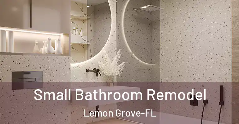 inner Bathroom imggen Small Bathroom Remodel Lemon Grove-FL