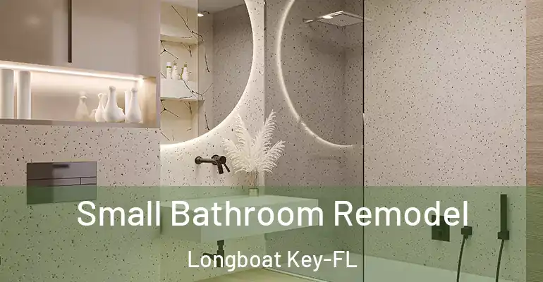 inner Bathroom imggen Small Bathroom Remodel Longboat Key-FL