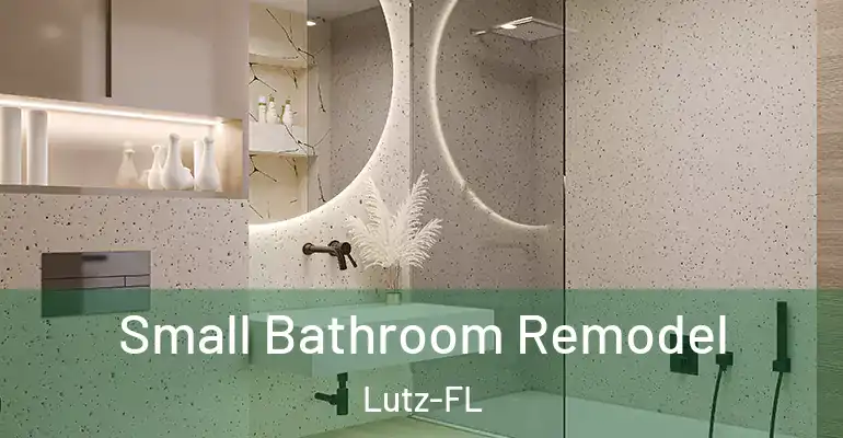 inner Bathroom imggen Small Bathroom Remodel Lutz-FL