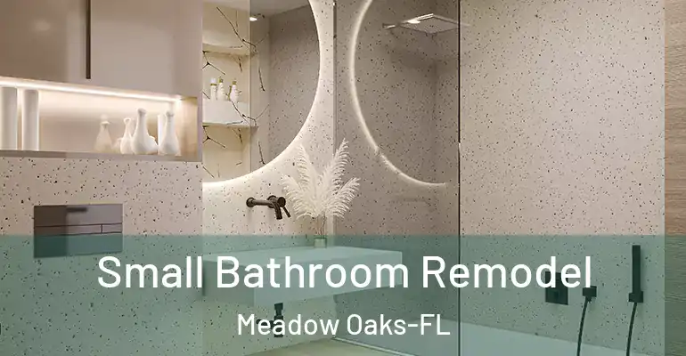 inner Bathroom imggen Small Bathroom Remodel Meadow Oaks-FL