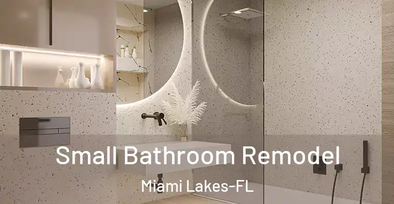 inner Bathroom imggen Small Bathroom Remodel Miami Lakes-FL