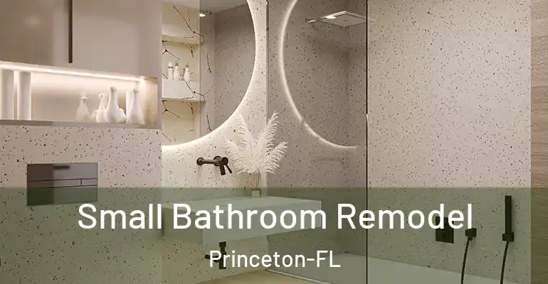 inner Bathroom imggen Small Bathroom Remodel Princeton-FL