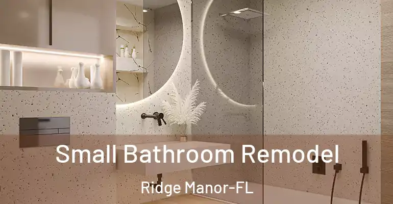 inner Bathroom imggen Small Bathroom Remodel Ridge Manor-FL