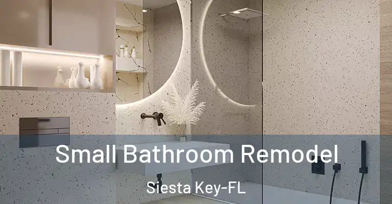 inner Bathroom imggen Small Bathroom Remodel Siesta Key-FL