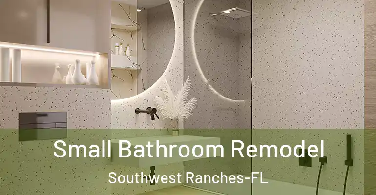 inner Bathroom imggen Small Bathroom Remodel Southwest Ranches-FL