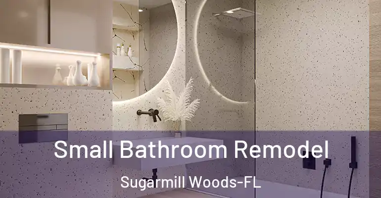 inner Bathroom imggen Small Bathroom Remodel Sugarmill Woods-FL