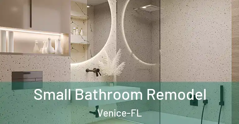 inner Bathroom imggen Small Bathroom Remodel Venice-FL