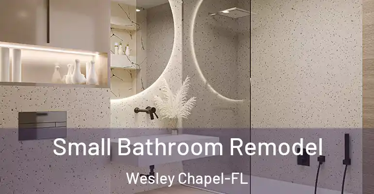 inner Bathroom imggen Small Bathroom Remodel Wesley Chapel-FL
