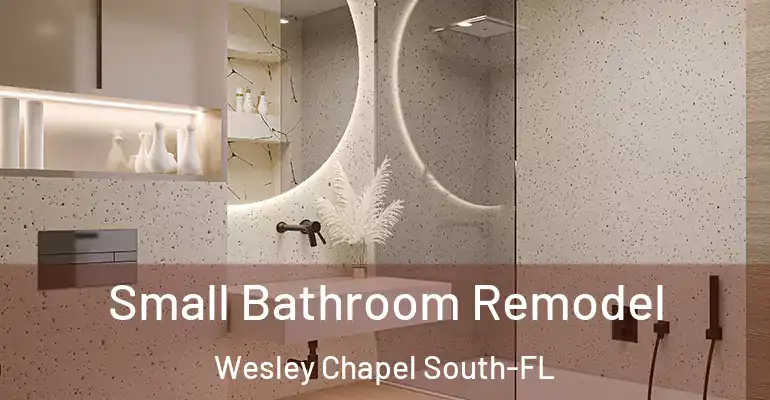inner Bathroom imggen Small Bathroom Remodel Wesley Chapel South-FL