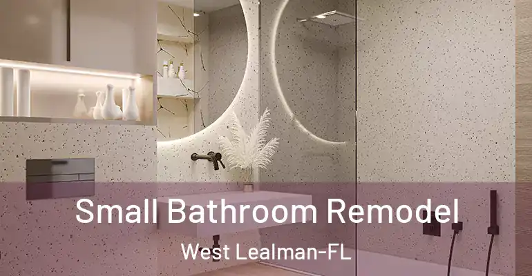 inner Bathroom imggen Small Bathroom Remodel West Lealman-FL