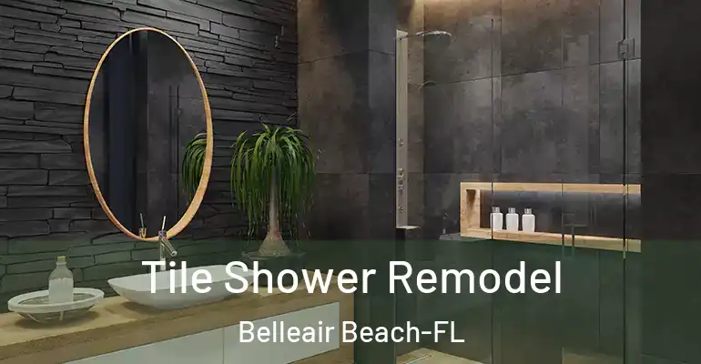 inner Bathroom imggen Tile Shower Remodel Belleair Beach-FL